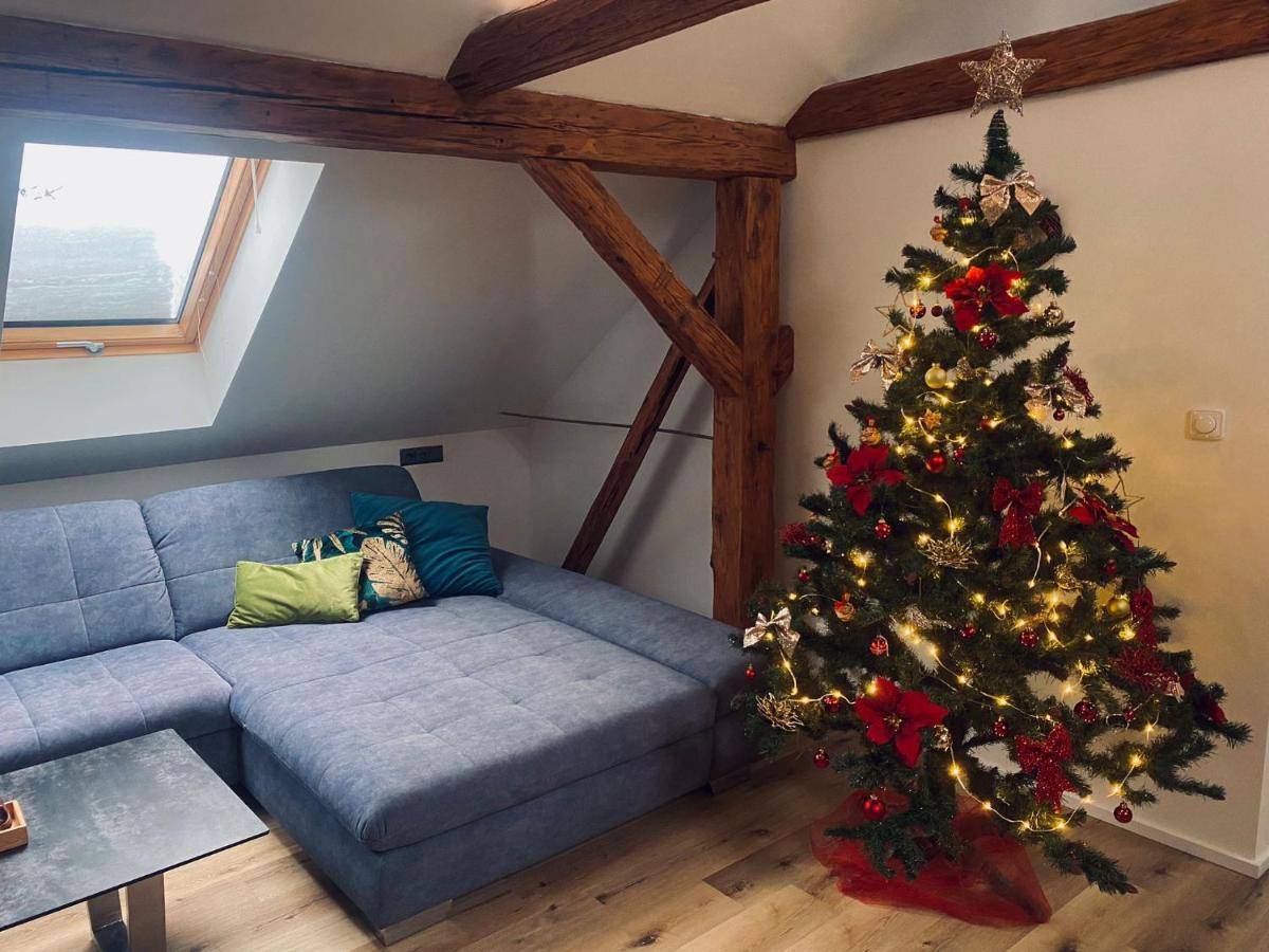 Apartman Danuse Česká Lípa Exteriér fotografie