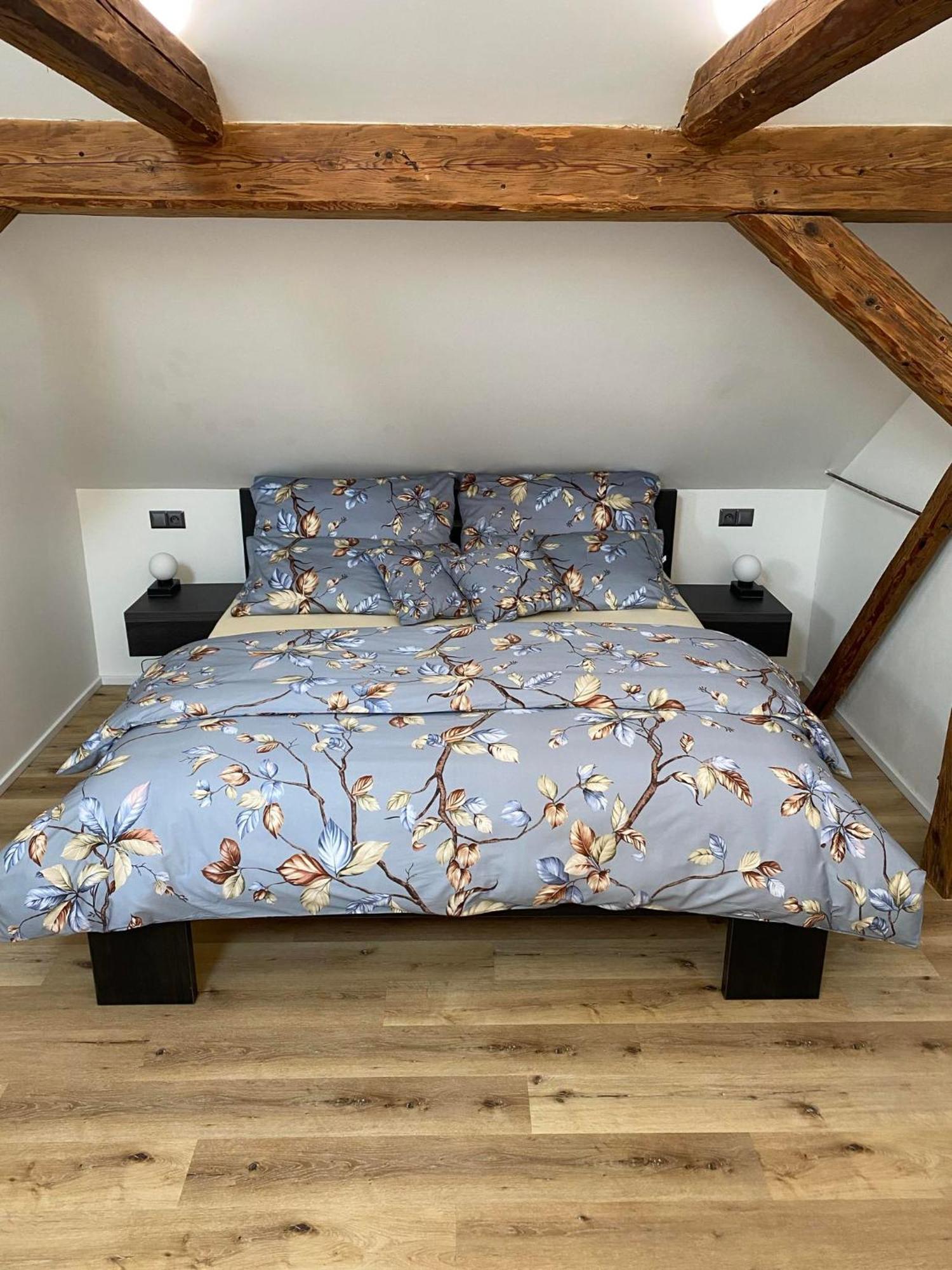 Apartman Danuse Česká Lípa Exteriér fotografie